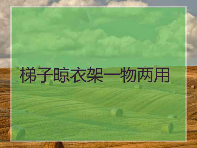梯子晾衣架一物两用 梯子晾衣架一物两用