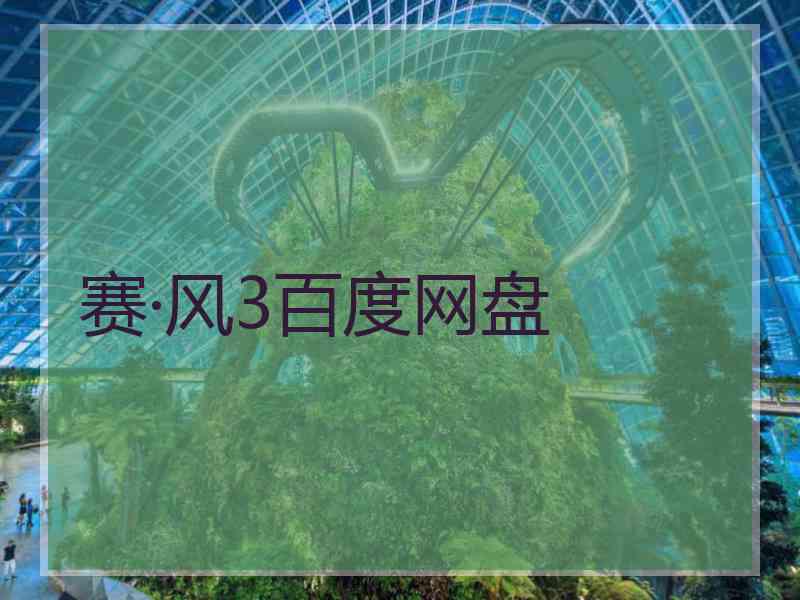 赛·风3百度网盘