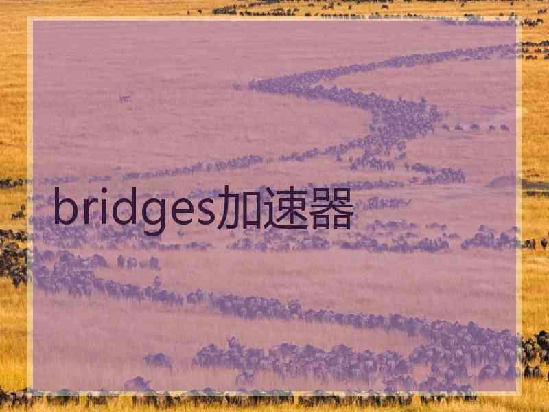 bridges加速器