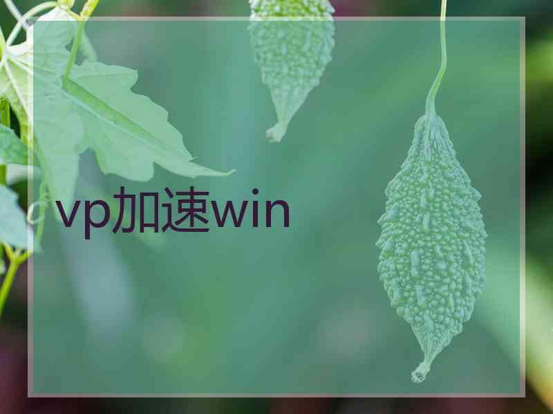 vp加速win