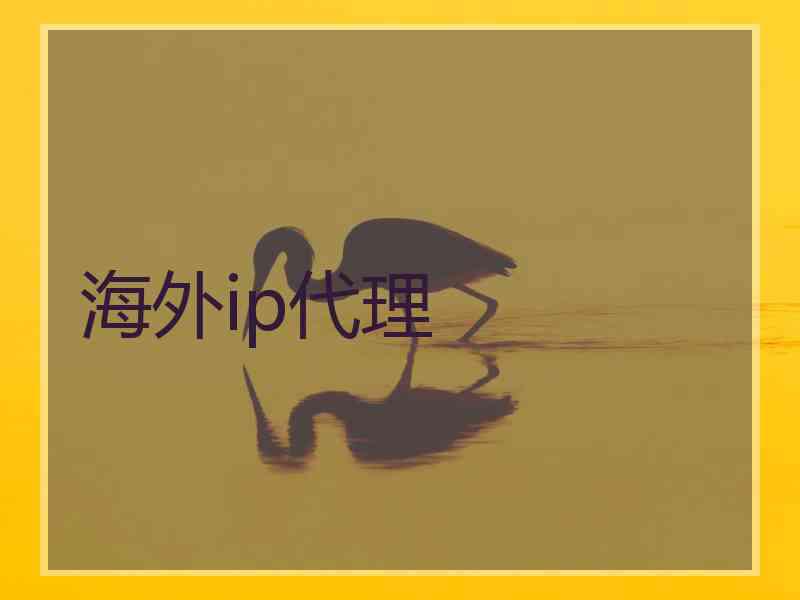 海外ip代理