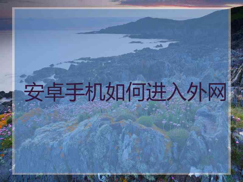 安卓手机如何进入外网