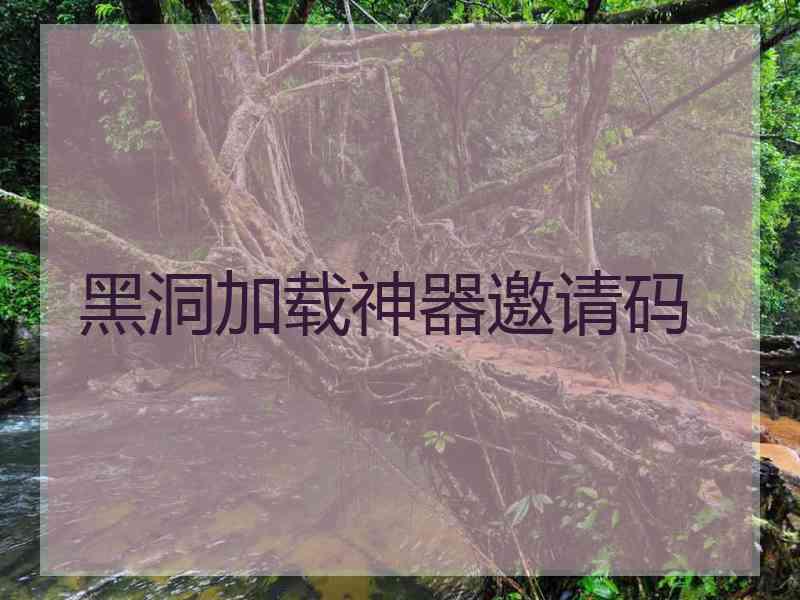 黑洞加载神器邀请码