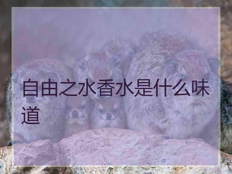 自由之水香水是什么味道