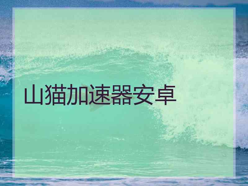 山猫加速器安卓