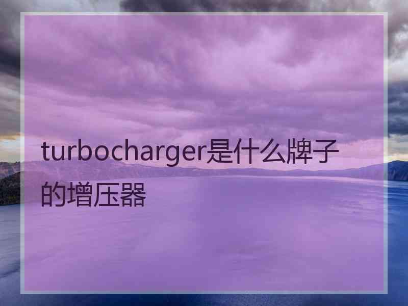 turbocharger是什么牌子的增压器