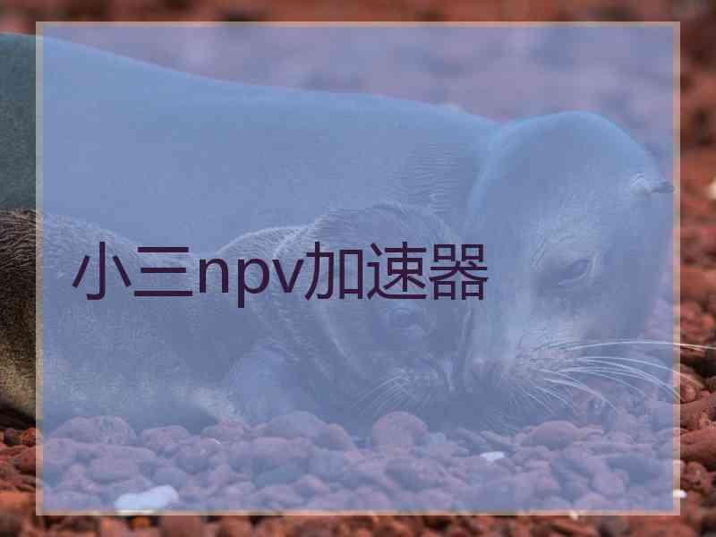 小三npv加速器