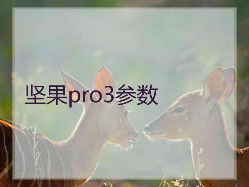 坚果pro3参数