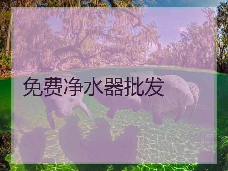 免费净水器批发