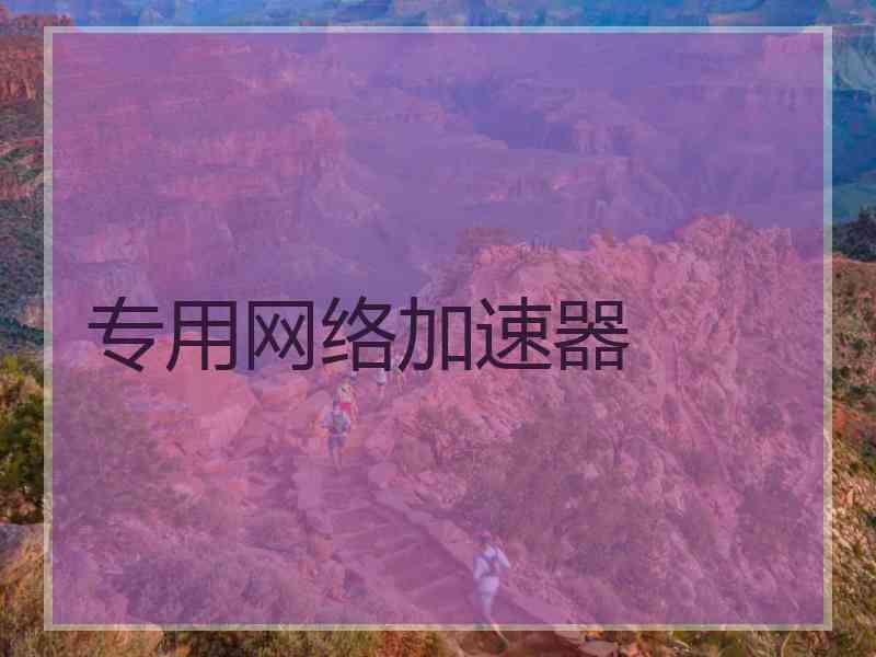 专用网络加速器