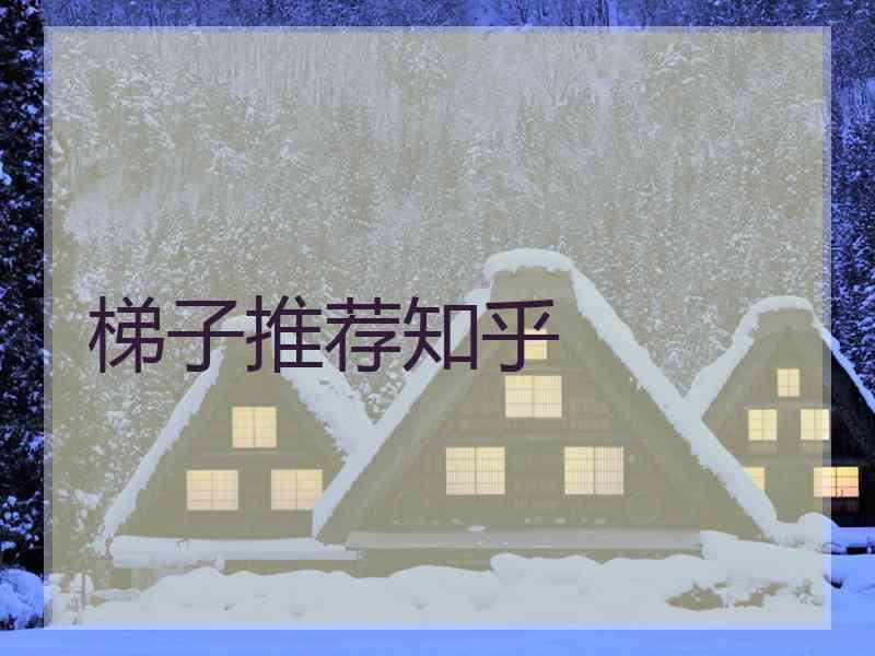 梯子推荐知乎