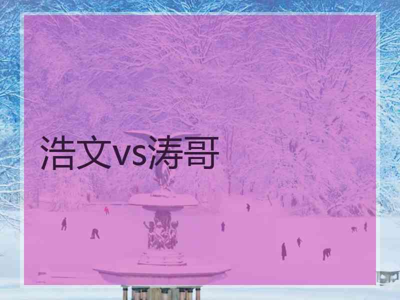 浩文vs涛哥