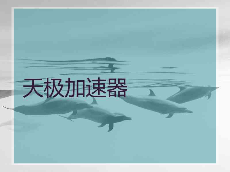 天极加速器