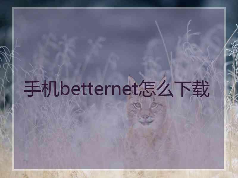 手机betternet怎么下载