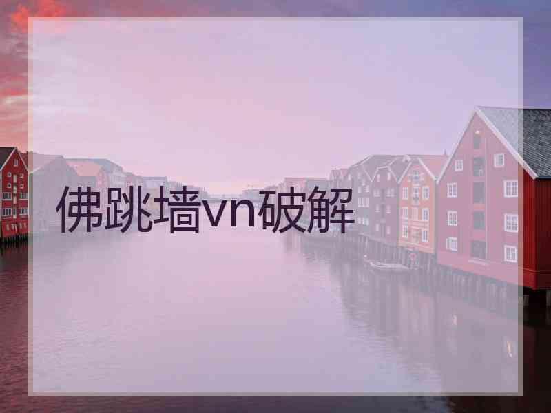 佛跳墙vn破解