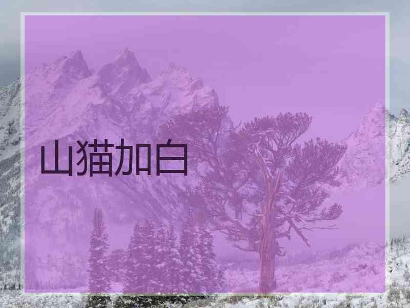 山猫加白