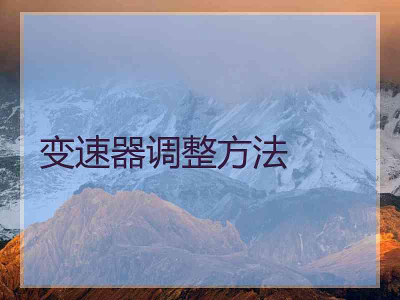 变速器调整方法