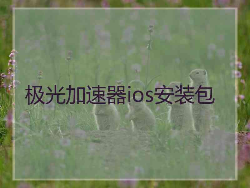 极光加速器ios安装包