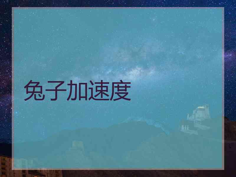 兔子加速度