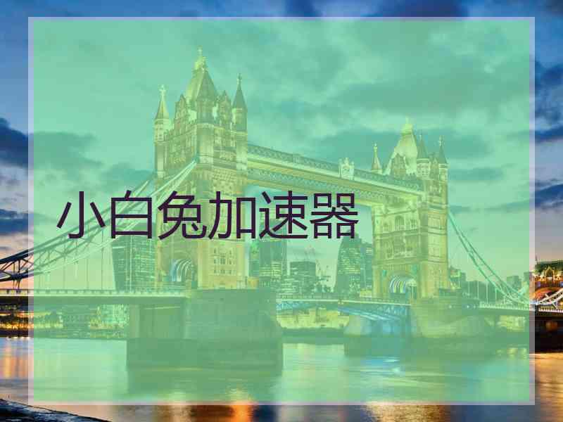 小白兔加速器