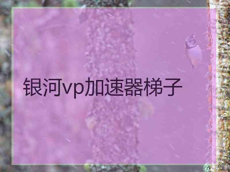 银河vp加速器梯子