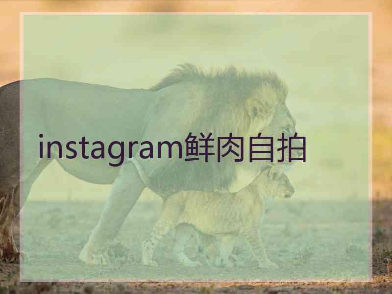instagram鲜肉自拍