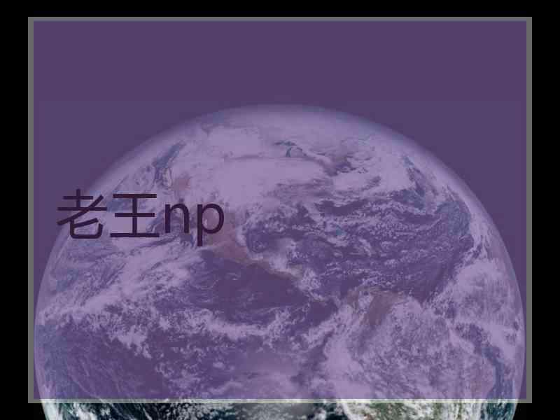老王np
