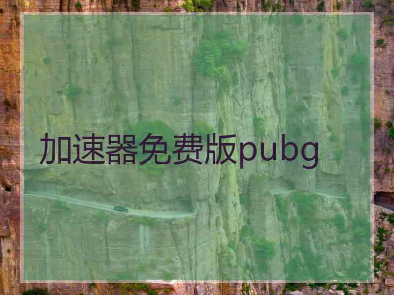 加速器免费版pubg