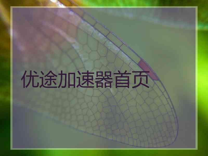 优途加速器首页