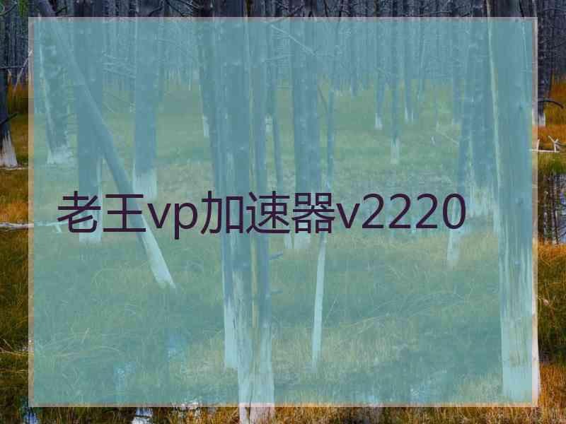 老王vp加速器v2220