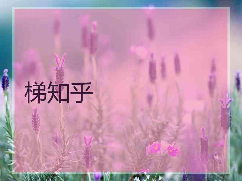 梯知乎