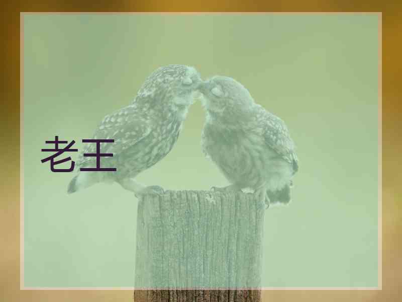 老王