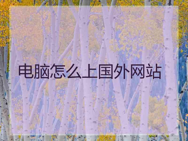 电脑怎么上国外网站