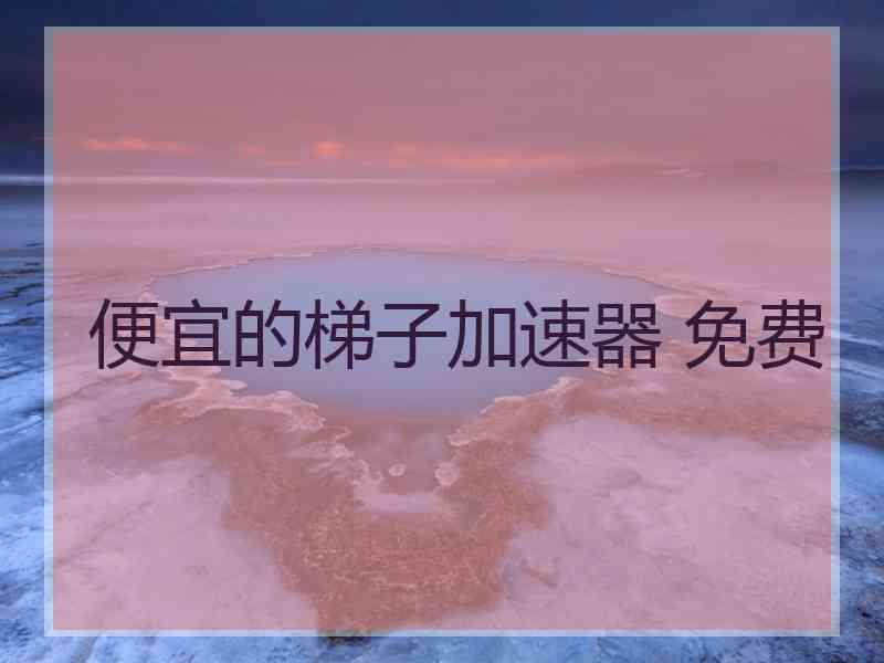 便宜的梯子加速器 免费