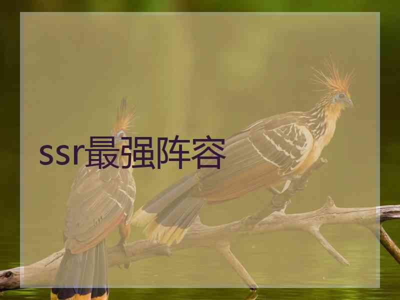 ssr最强阵容