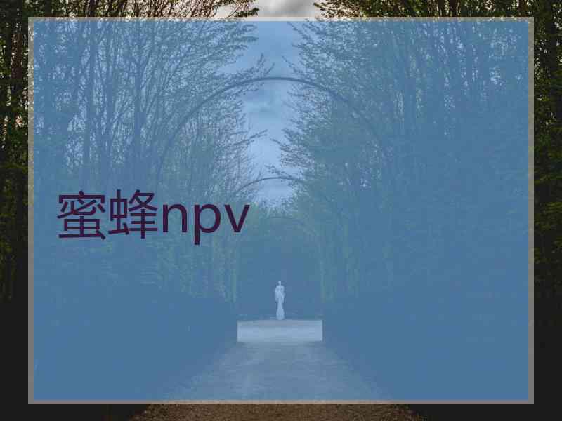 蜜蜂npv