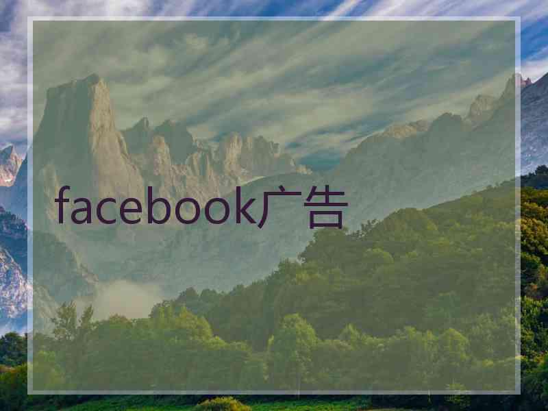 facebook广告
