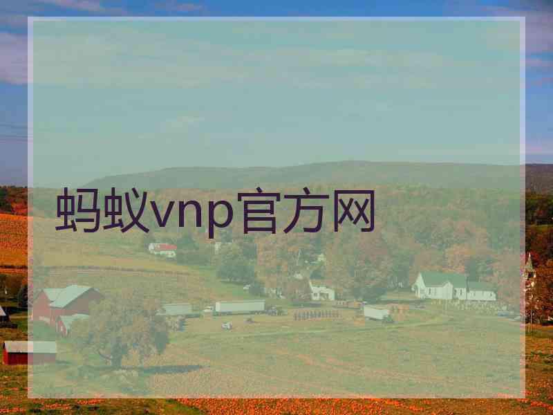 蚂蚁vnp官方网