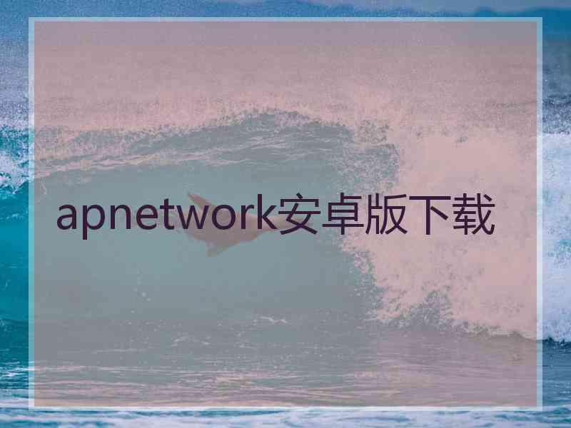 apnetwork安卓版下载