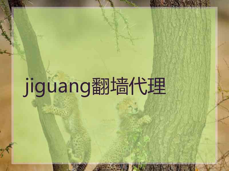 jiguang翻墙代理