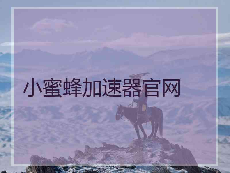 小蜜蜂加速器官网