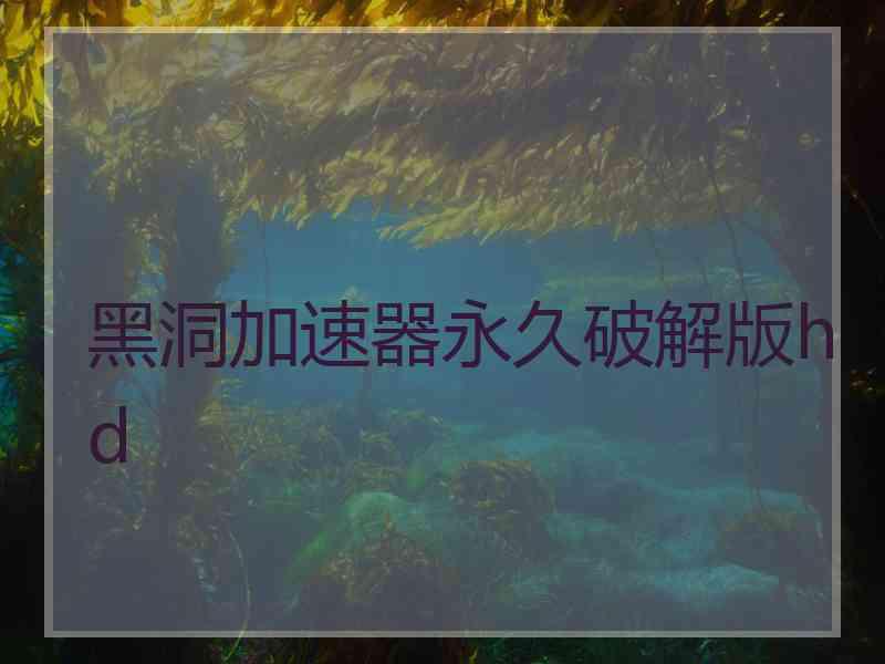 黑洞加速器永久破解版hd