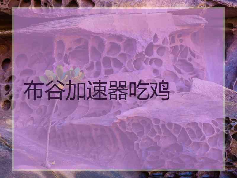 布谷加速器吃鸡