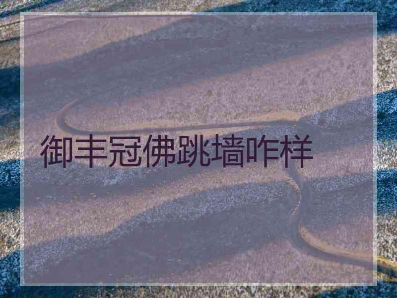 御丰冠佛跳墙咋样