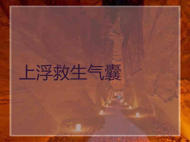 上浮救生气囊