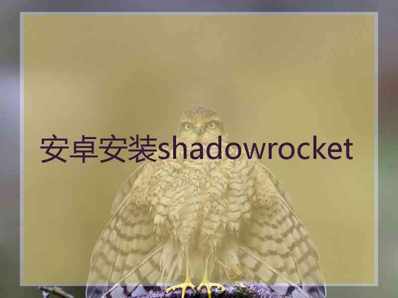 安卓安装shadowrocket