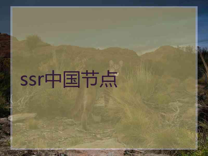 ssr中国节点