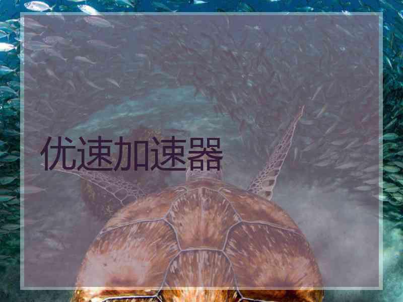 优速加速器