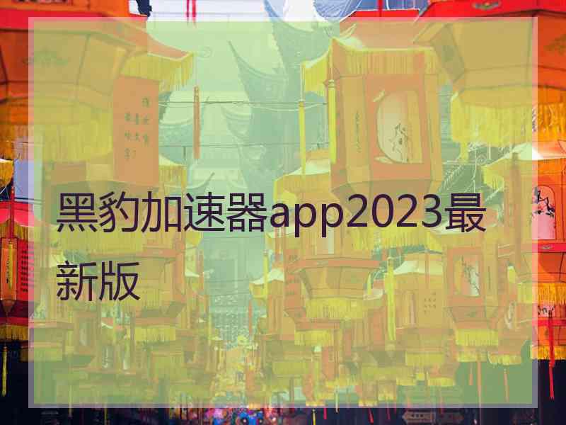 黑豹加速器app2023最新版