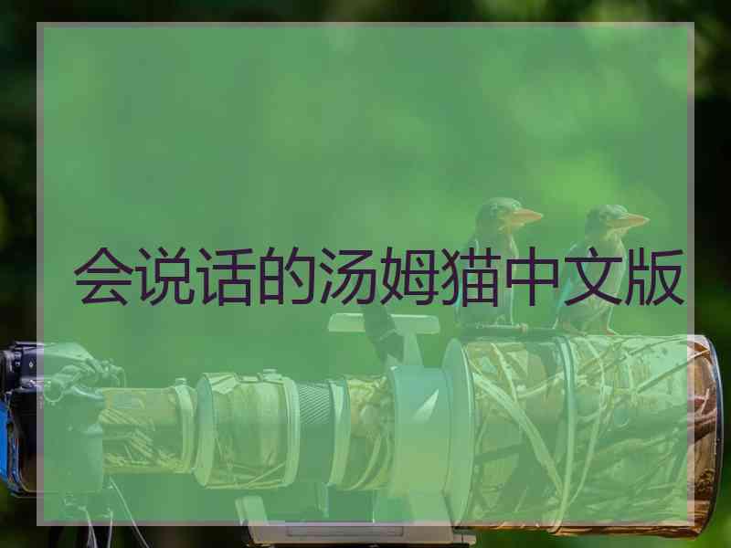 会说话的汤姆猫中文版